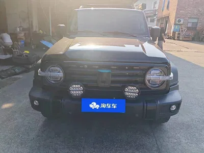 2021 Tank 300 Off-road Version 2.0T Conqueror, фото 2, лот 10386515