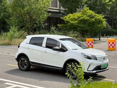 2021 Geely EX3 Kung Fu Bull Kung Fu Niu Niu, фото 3, лот 11157022