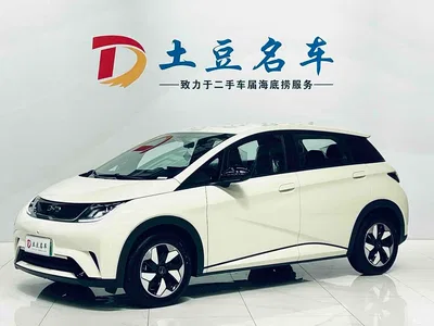 2025 BYD Dolphin 420km Freedom Edition, фото 1, лот 10249949