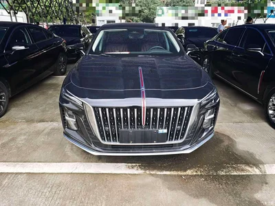 2023 Hongqi H5 2.0T Auto Smart Connect Flag Comfort, фото 2, лот 10612501