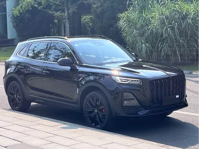 2025 Hongqi HS5 2.0T 2WD Mystic Shadow Edition, фото 3, лот 10289081