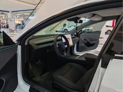 2025 Tesla Model 3 Model Rear-Wheel Drive Edition, фото 4, лот 10393040