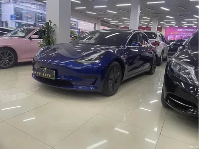 2020 Tesla Model 3 Standard Range Rear-Wheel Drive Upgrade, фото 1, лот 10385129