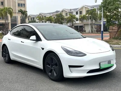 2022 Tesla Model 3 Model Rear-Wheel Drive Version, фото 3, лот 10360868