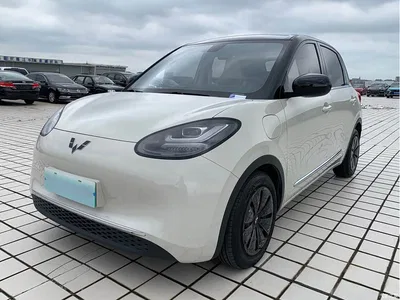 2023 Wuling Motors Wuling Bingo 410km Lingxi Premium Edition, фото 1, лот 10367504