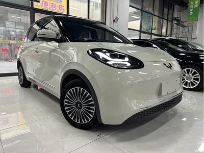 2023 Wuling Motors Wuling Bingo 333km Joyful Version, фото 3, лот 10413810