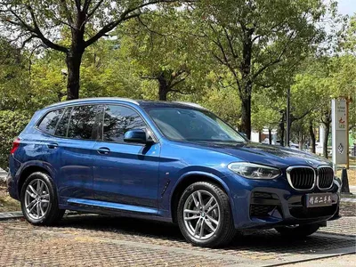 2019 BMW X3 xDrive25i M Sport Package, фото 2, лот 10461277