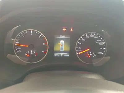 2023 Great Wall Pao 2.0T Commercial Auto Diesel 2WD Elite Long Box GW4D20M, фото 4, лот 10248922