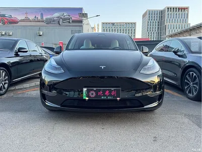 2022 Tesla Model Y Performance High-Performance All-Wheel Drive Version, фото 2, лот 10445590