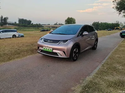 2025 BYD Dolphin 420km Fashion Edition, фото 1, лот 10393501
