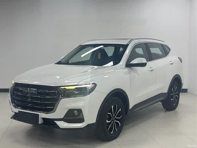 2021 Haval H6 National Trend Edition 1.5T Automatic Urban Edition, фото 1, лот 10281693