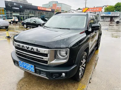 2024 Haval Big Dog 1.5T DCT Border Collie Edition, фото 1, лот 11507378