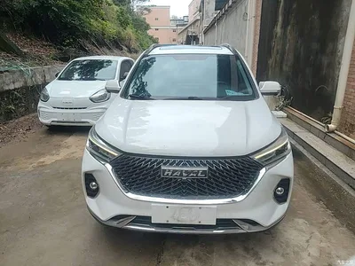 2021 Haval M6 PLUS 1.5T DCT Liu Yan Co-branded Edition, фото 3, лот 10284484