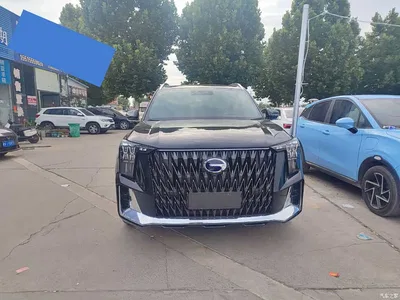 2024 GAC Trumpchi Trumpchi GS8 Dual Engine Series 2.0TM 2WD Premium Edition, фото 1, лот 10419012
