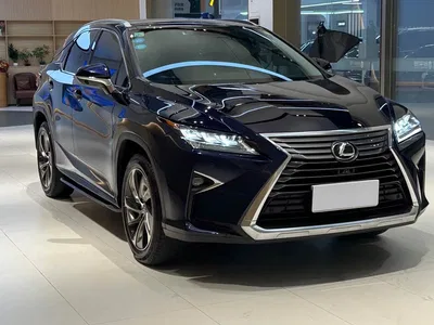 2016 Lexus RX 300 4WD Elegance Edition (China V), фото 3, лот 10313320