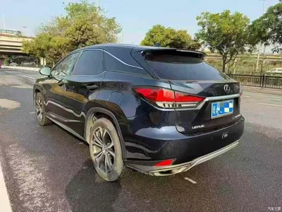 2020 Lexus RX 300 AWD F SPORT (China VI), фото 4, лот 10315095