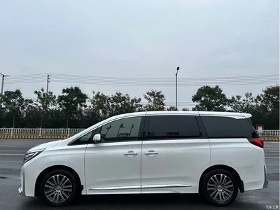2021 GAC Trumpchi Trumpchi M8 Leading Show Series 390T Prestige Edition, фото 2, лот 10419766