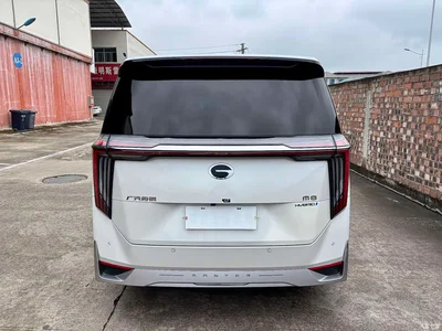 2024 GAC Trumpchi Trumpchi M8 Patriarch Series Twin Engine Flagship Edition, фото 4, лот 10419950