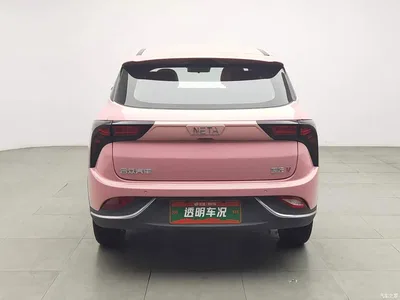 2022 Nezha Auto Nezha V Trend 400 Lite Pink Custom Edition, фото 4, лот 11592711