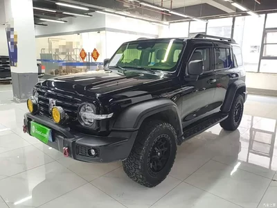 2021 Tank 300 Off-road Version 2.0T Conqueror, фото 1, лот 10345319