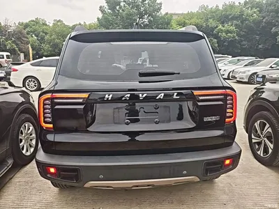 2022 Haval Big Dog 1.5T DCT FWD Border Collie Edition, фото 4, лот 10361487