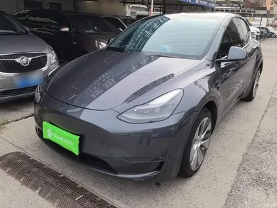 2021 Tesla Model Y Model Long Range AWD, фото 1, лот 10374109