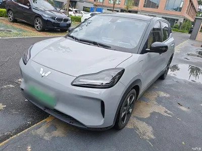 2024 Wuling Motors Wuling Binguo PLUS 510km Range 5-seater, фото 2, лот 10836367