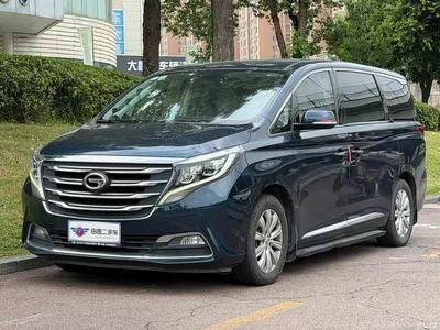 2018 GAC Trumpchi Trumpchi M8 320T Exclusive Edition, фото 1, лот 10416504