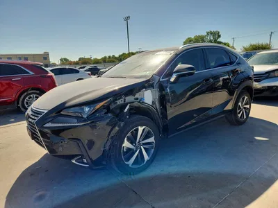 2020 LEXUS NX 300, фото 1, лот 10843717