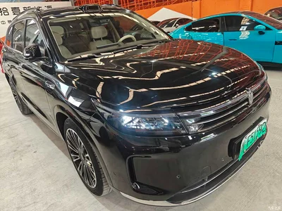 2024 AITO Wenjie AITO M7 1.5T Smart Drive RWD Ultra 6-seater, фото 3, лот 10277331