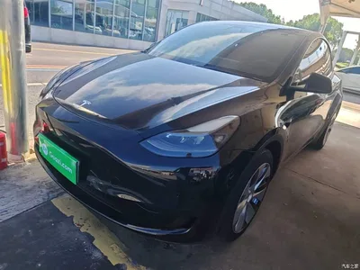 2022 Tesla Model Y Facelift Rear-Wheel Drive Version, фото 2, лот 10369555