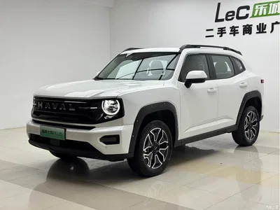 2025 Haval Second-Generation Big Dog New Energy Hi4 145km Premium Edition, фото 1, лот 11165070