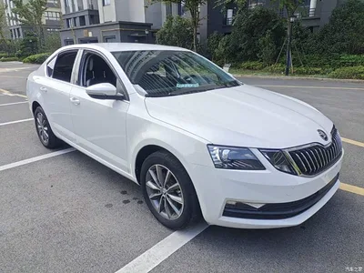 2021 Škoda Octavia 1.5L Automatic Comfort, фото 4, лот 11081491