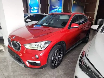 2019 BMW X1 xDrive20Li Premium Model, фото 1, лот 10467430