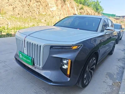 2022 Hongqi E-HS9 660km Qi Ling Edition (4-seater), фото 2, лот 10289707