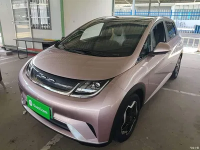 2021 BYD Dolphin Model 405km Fashion Edition, фото 2, лот 10264167