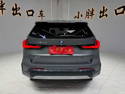 2023 BMW X1 sDrive20Li X Design Package, фото 4, лот 10465253