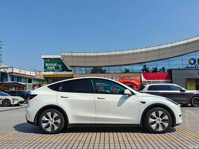 2022 Tesla Model Y Rear-Wheel Drive Version, фото 4, лот 10662241