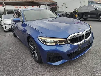 2021 BMW 3 Series 320Li M Sport Package, фото 4, лот 10458051