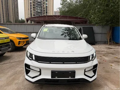 2025 Geely Radar Radar King Kong EM-P 4WD Long Bed Thousand-Mile King Kong, фото 2, лот 10434761