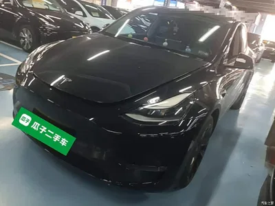 2021 Tesla Model Y Standard Range Rear-Wheel Drive, фото 1, лот 10605206