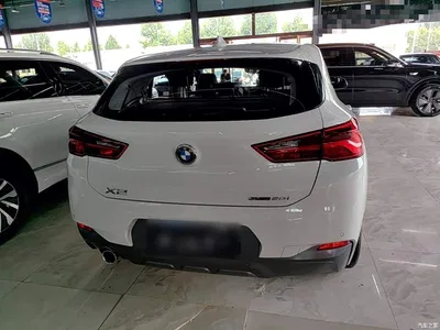 2019 BMW X2 (Import) sDrive20i M Off-Road Package China VI, фото 4, лот 10475566