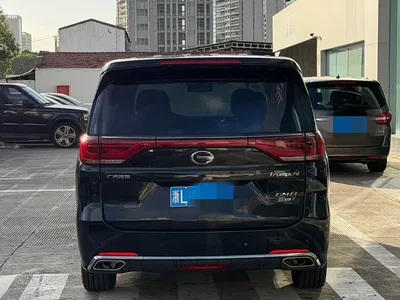 2019 GAC Trumpchi Trumpchi M8 320T Ultimate Edition, фото 4, лот 10416566