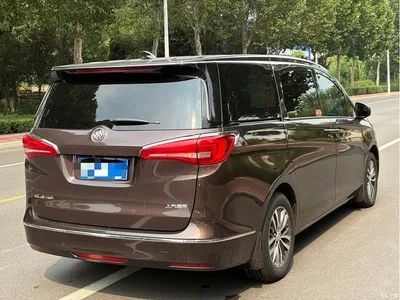 2017 Buick GL8 ES 28T Luxury China V, фото 4, лот 10256880