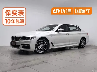 2019 BMW 5 Series 530Li xDrive M Sport Package, фото 1, лот 11184256