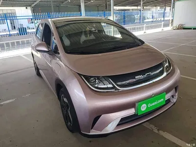 2021 BYD Dolphin Model 405km Fashion Edition, фото 4, лот 10264167