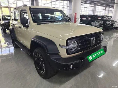 2025 Tank 300 New Energy Hi4-T, фото 4, лот 11221417
