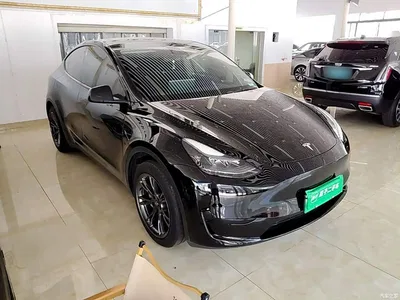 2023 Tesla Model Y Rear-Wheel Drive Edition, фото 4, лот 10369787