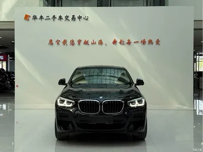 2021 BMW X4 xDrive 25i M Sport Package, фото 2, лот 10476805