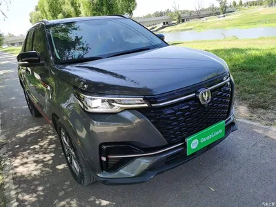2021 Changan CS55 PLUS Blue Whale Edition 1.5T DCT Luxury, фото 4, лот 10253146
